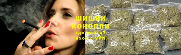 индика Беломорск