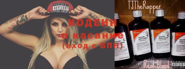 индика Беломорск