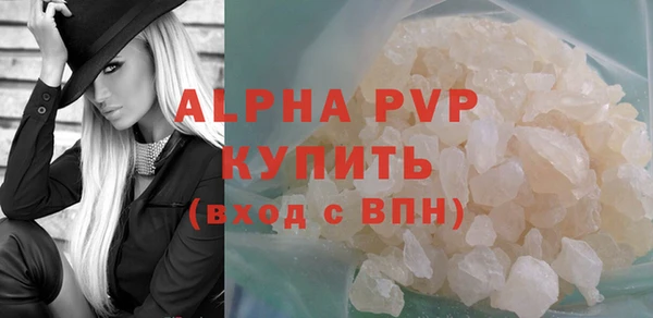 индика Беломорск