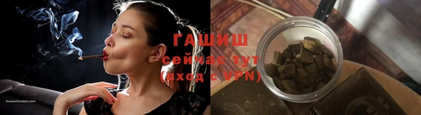 индика Беломорск