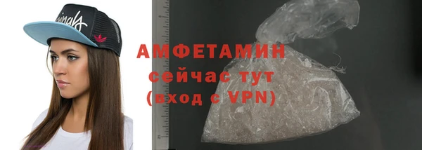индика Беломорск