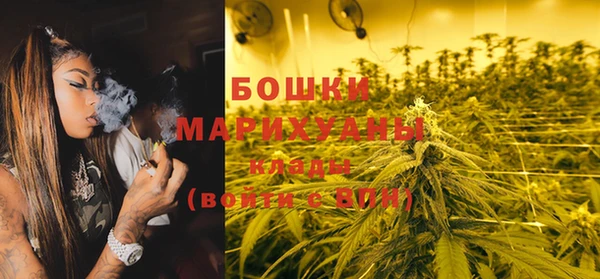 индика Беломорск