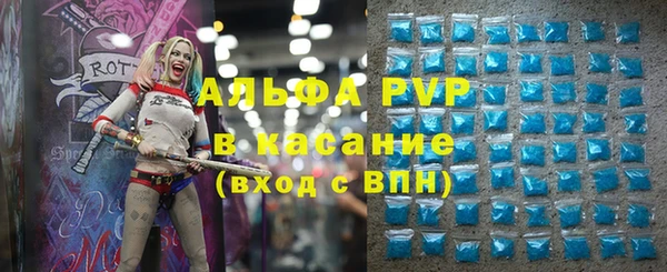 индика Беломорск