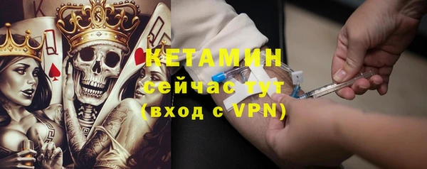 индика Беломорск