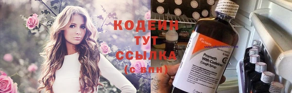 индика Беломорск